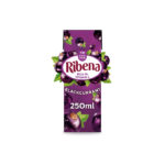 RIBENA BC 24X250ML